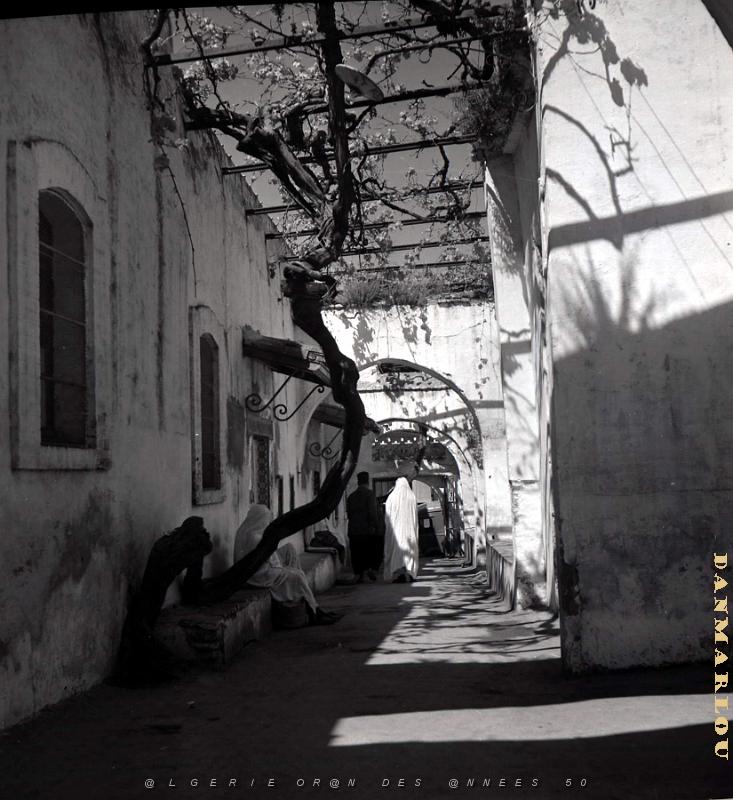 Tlemcen 504- Rue dans vieux Tlemcen COLLECTION DES AMIS DE ND DE SANTA CRUZ.jpg
